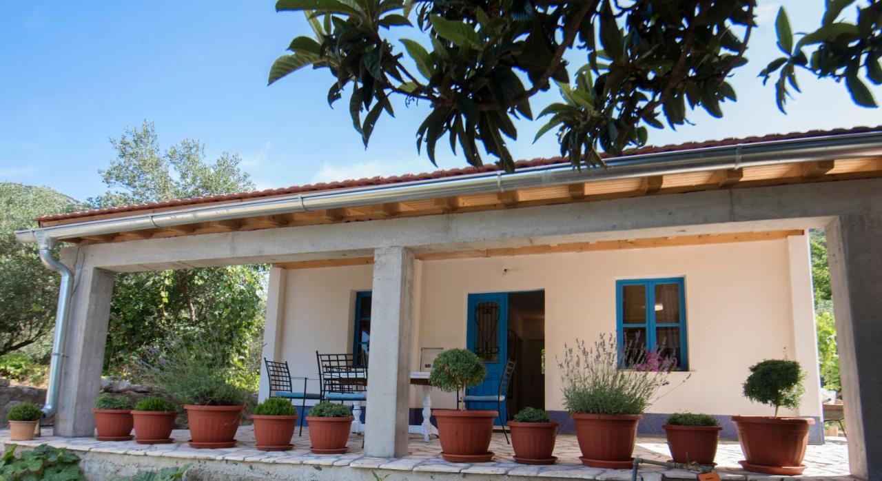 Studio Apartman Roza Ston Exterior photo